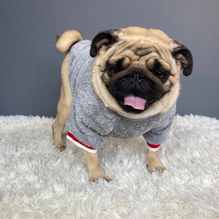 Sweater para Pets