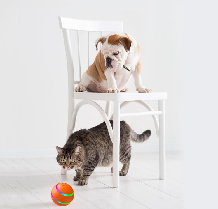 Bola Inteligente Automática para Gatos – Brinquedo Interativo USB